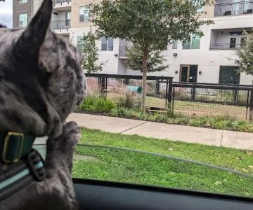 Esperanza Crossing Dog Park