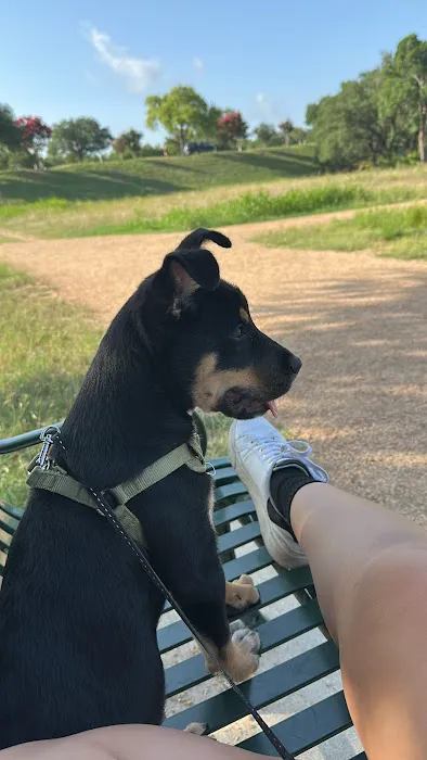 Dog park (trial) 1