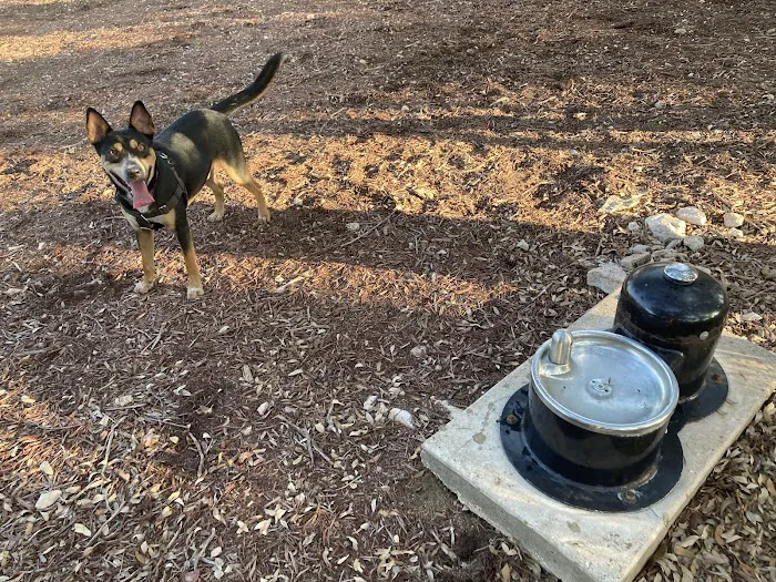 Jake’s Place Dog Park 7