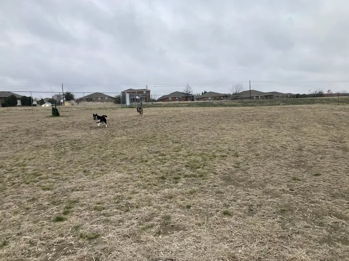 Harris Branch Dog Park 6