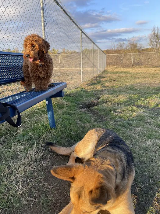 Harris Branch Dog Park 4