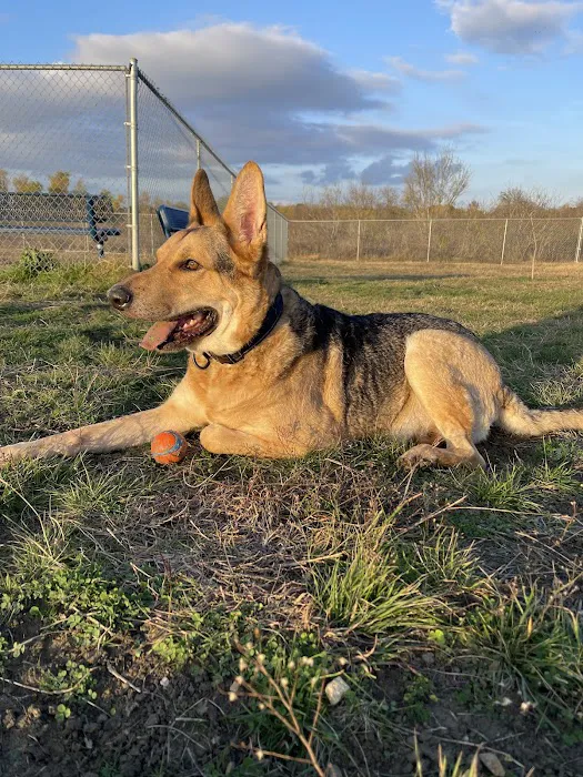 Harris Branch Dog Park 2