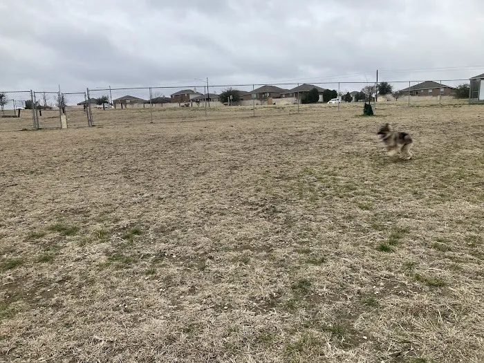 Harris Branch Dog Park 7