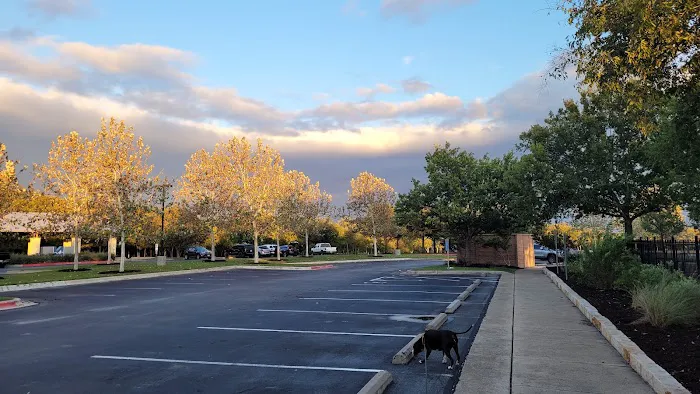 Northtown Dog Park 6