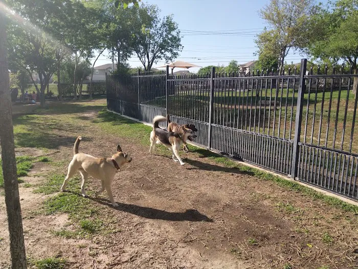 Northtown Dog Park 9