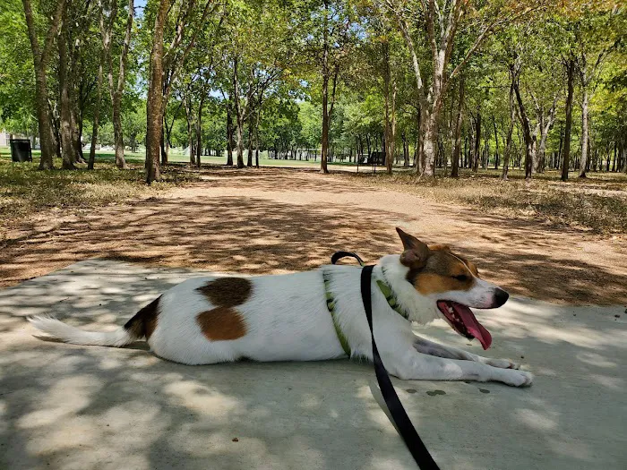 Northtown Dog Park 10