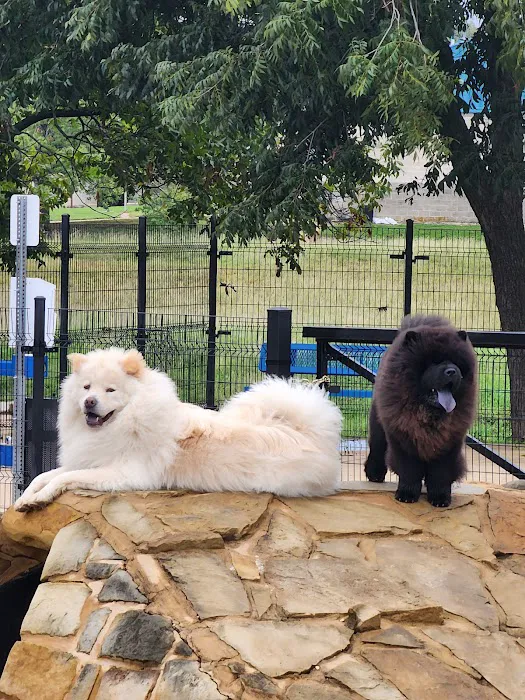 WB MUD Dog Park 10