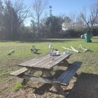 BsBirds&BeesPrivateDogpark ico