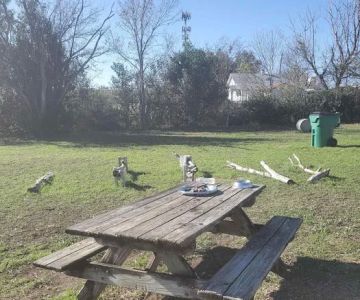 BsBirds&BeesPrivateDogpark