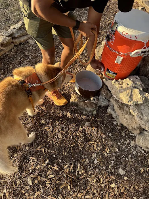 McCann Park Dog Park 1