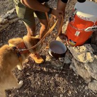 McCann Park Dog Park ico