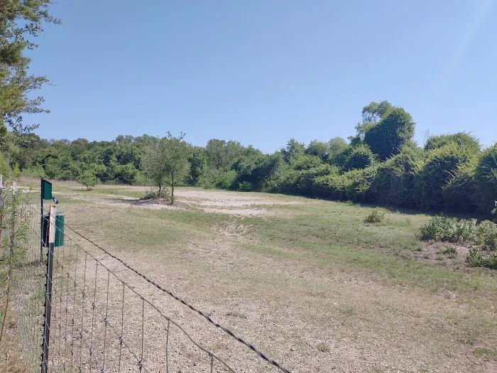 McCann Park Dog Park 4