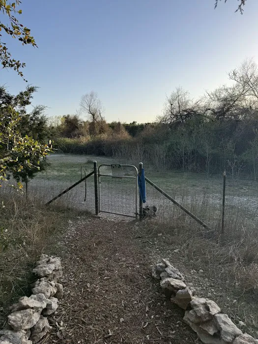 McCann Park Dog Park 2
