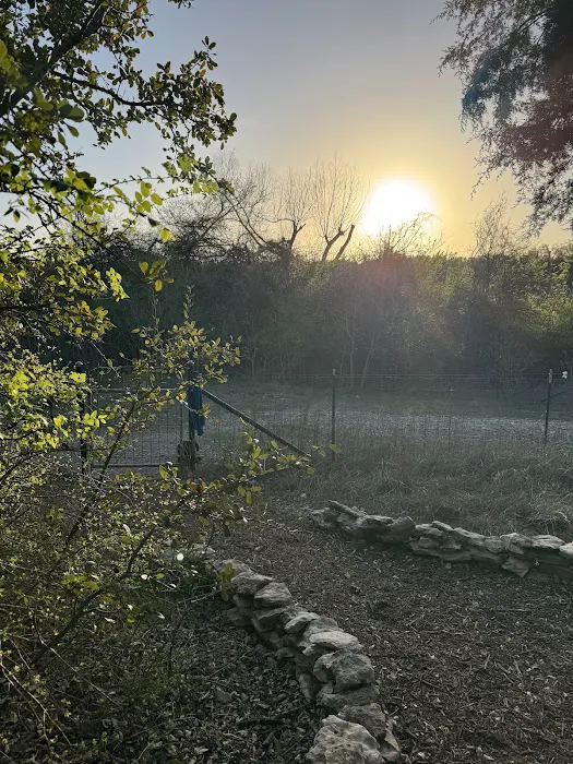 McCann Park Dog Park 5