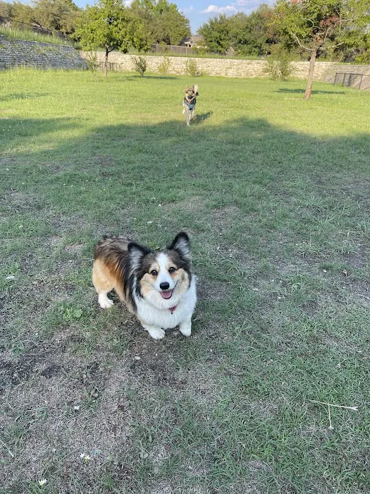 London Lane Dog Park 5
