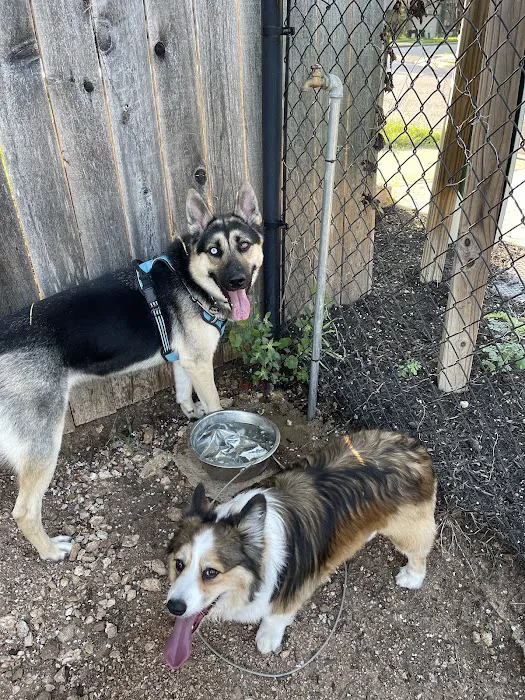 London Lane Dog Park 6