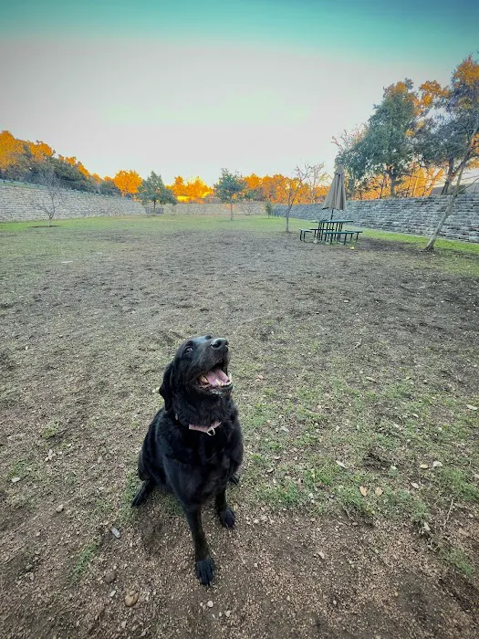 London Lane Dog Park 7