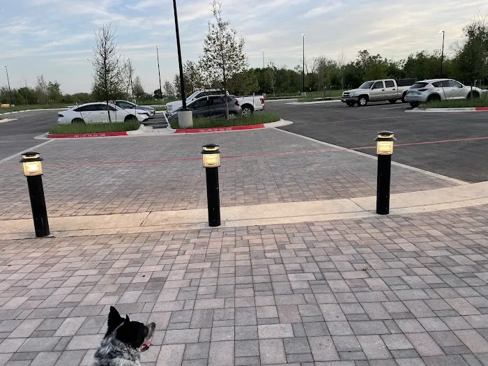 Wilbarger Creek Dog Park 5