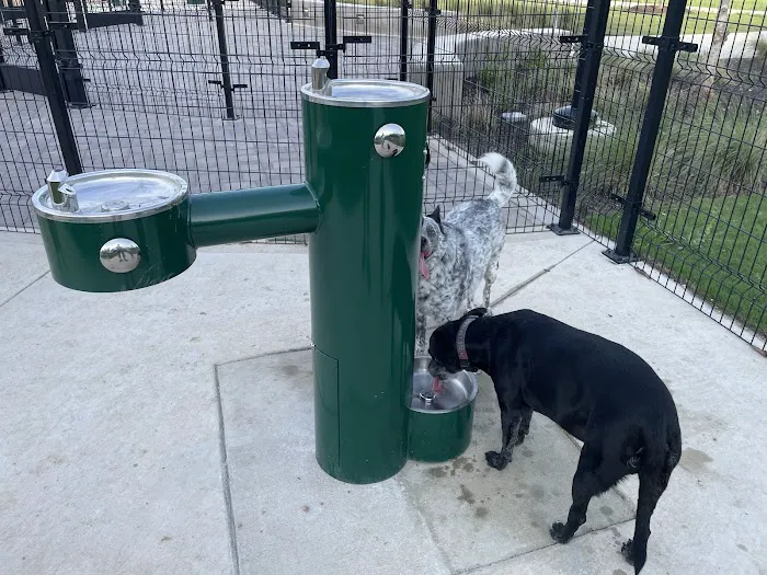 Wilbarger Creek Dog Park 8