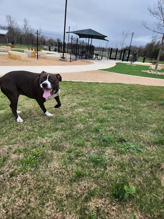 Wilbarger Creek Dog Park 1