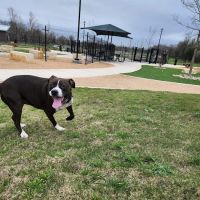 Wilbarger Creek Dog Park ico