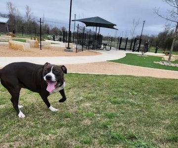 Wilbarger Creek Dog Park