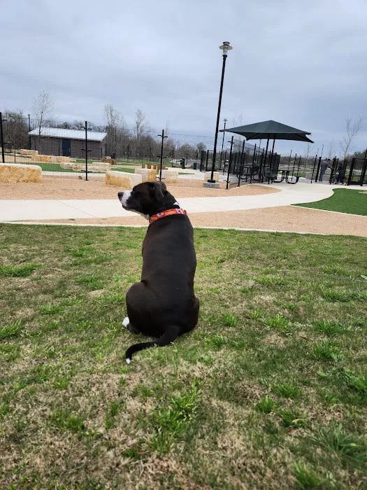 Wilbarger Creek Dog Park 10