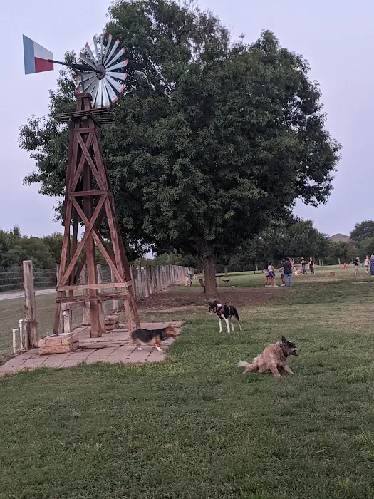 Round Rock Dog Depot 1