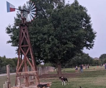 Round Rock Dog Depot