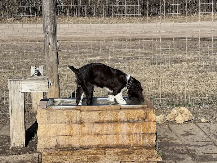 Round Rock Dog Depot 9