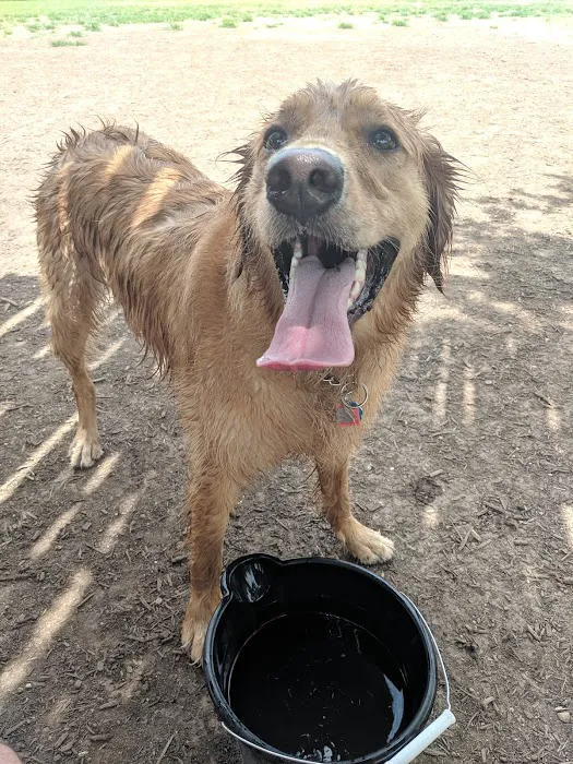 Round Rock Dog Depot 6