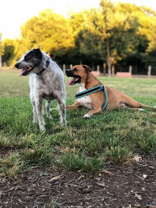 Round Rock Dog Depot 2