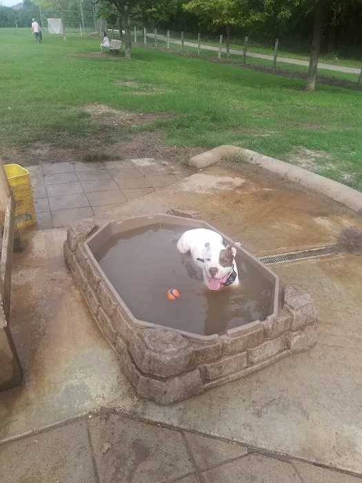Round Rock Dog Depot 7