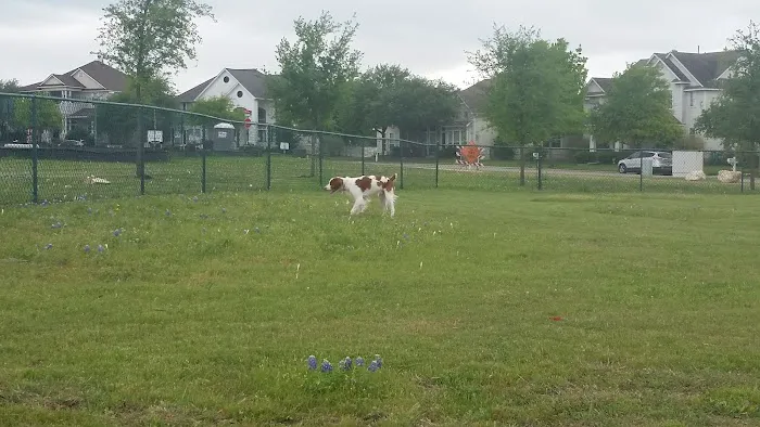 Plum Creek Dog Park 1