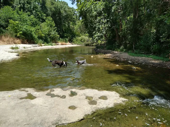 Brushy Creek Dog Park 6