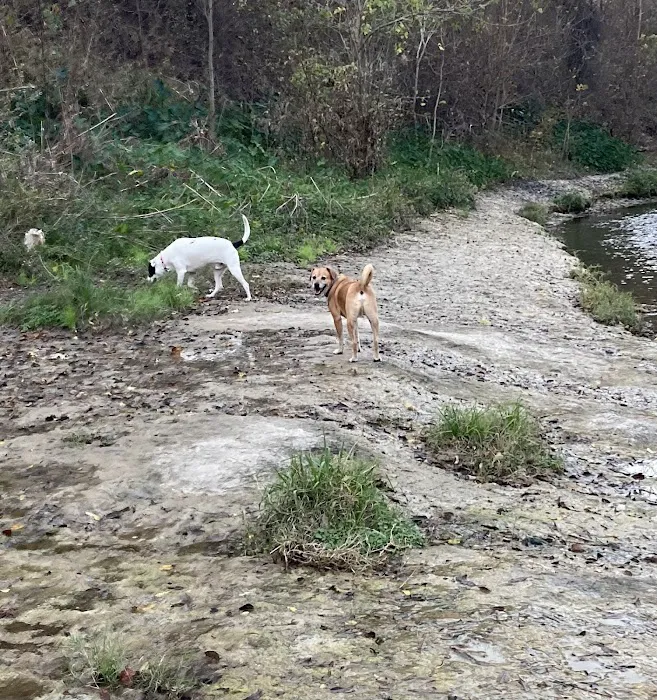 Brushy Creek Dog Park 7