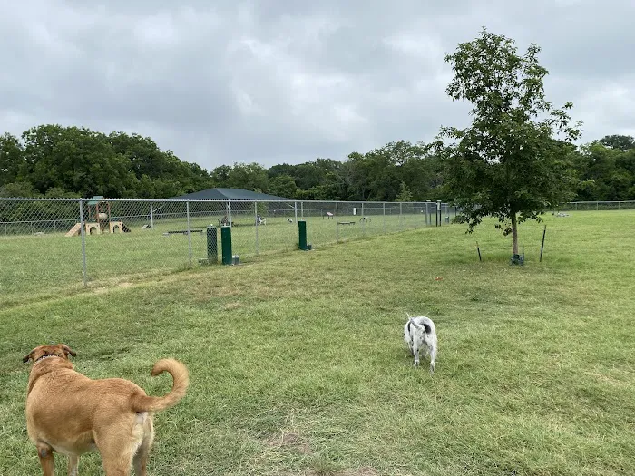 Brushy Creek Dog Park 9
