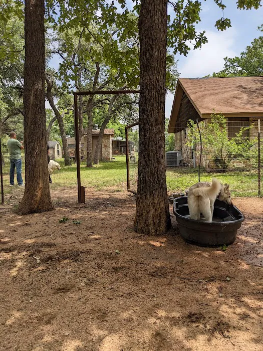 Dog House Drinkery & Dog Park 9