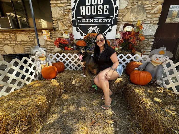 Dog House Drinkery & Dog Park 1