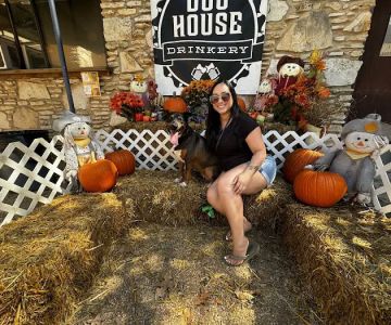 Dog House Drinkery & Dog Park