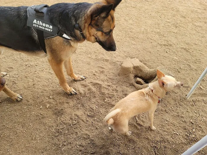 Dog House Drinkery & Dog Park 7