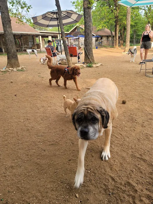Dog House Drinkery & Dog Park 10