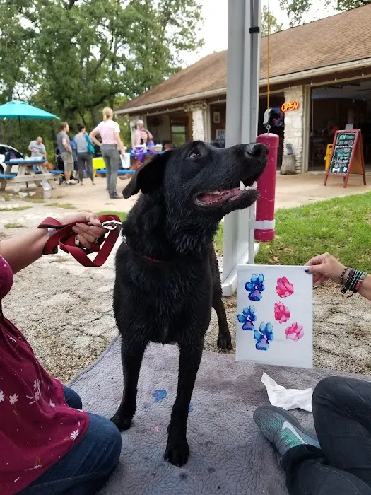 Dog House Drinkery & Dog Park 6