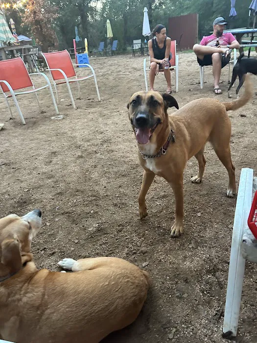 Dog House Drinkery & Dog Park 4