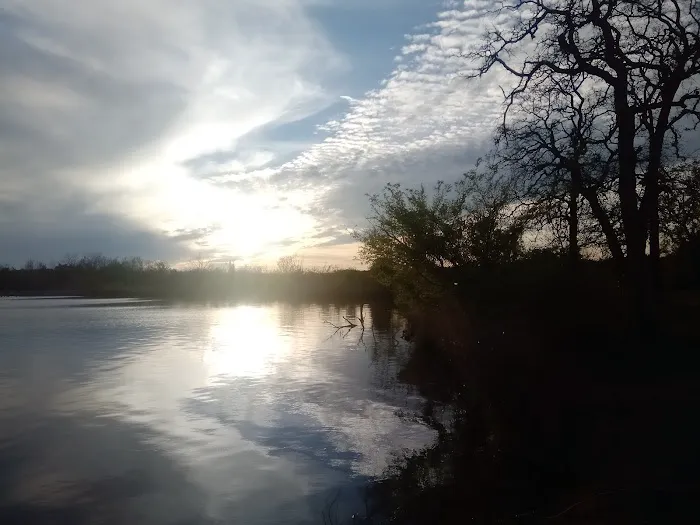 Lakewood Dog Park 7