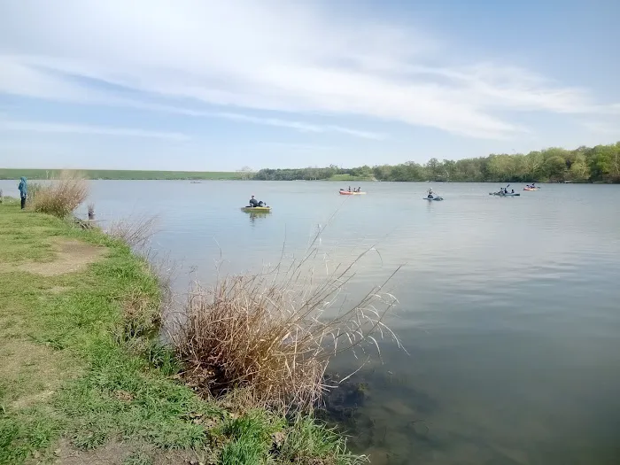 Lakewood Dog Park 3
