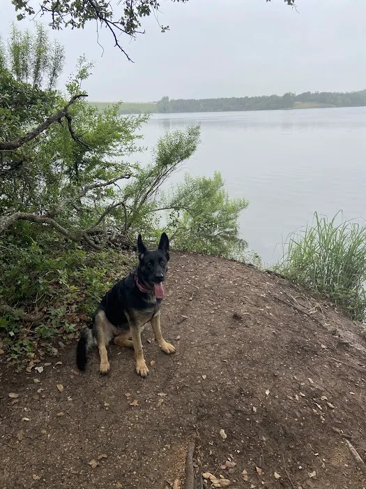 Lakewood Dog Park 2
