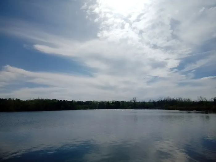Lakewood Dog Park 8