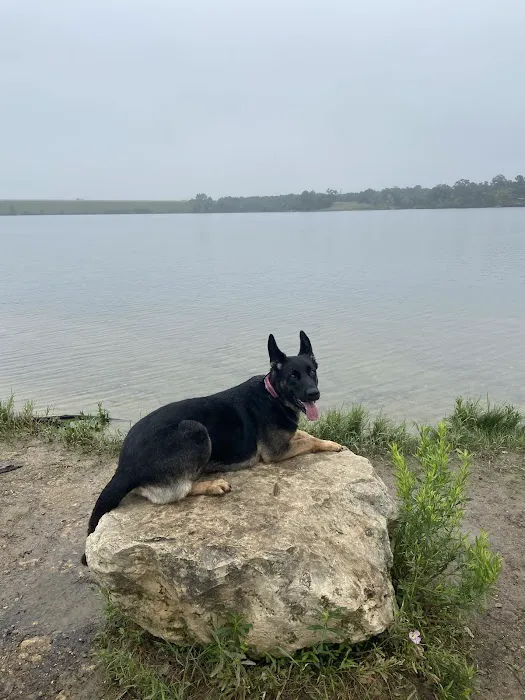 Lakewood Dog Park 6
