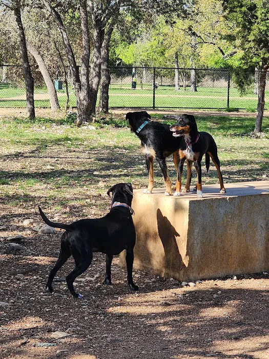 Lakewood Dog Park 9